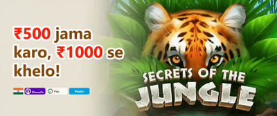100% Welcome Match Bonus